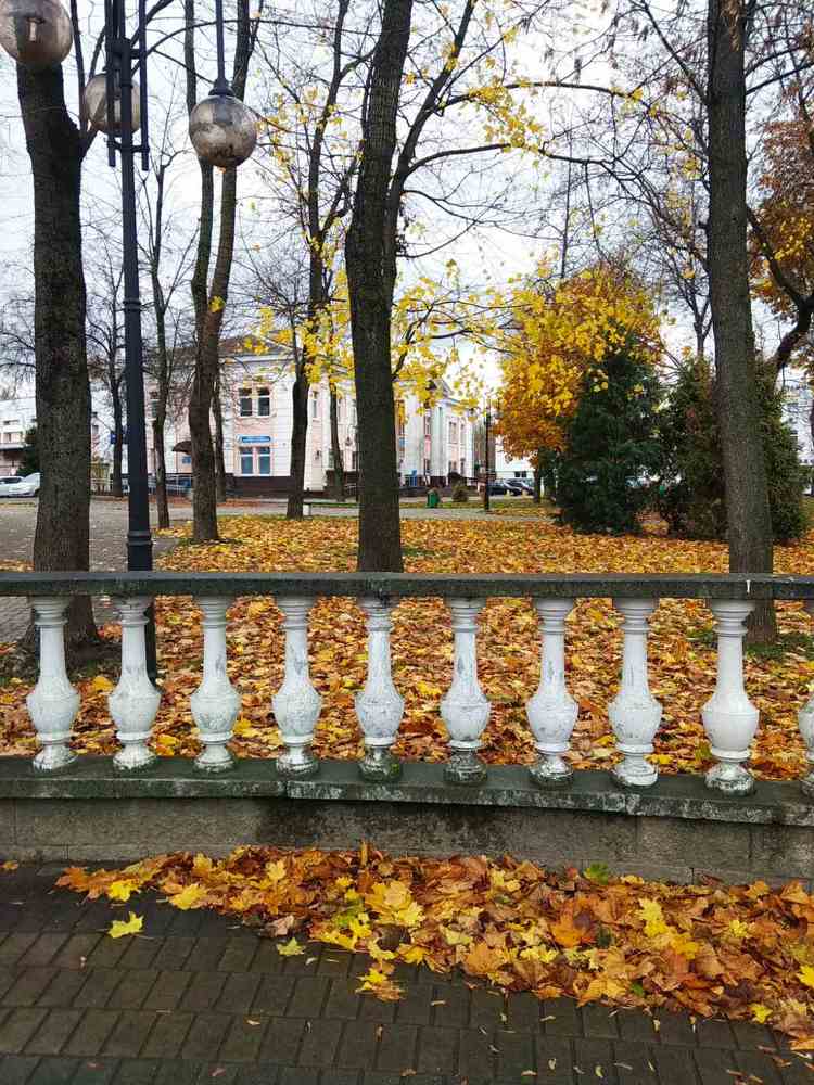 Фотография автора Галина Бобкина