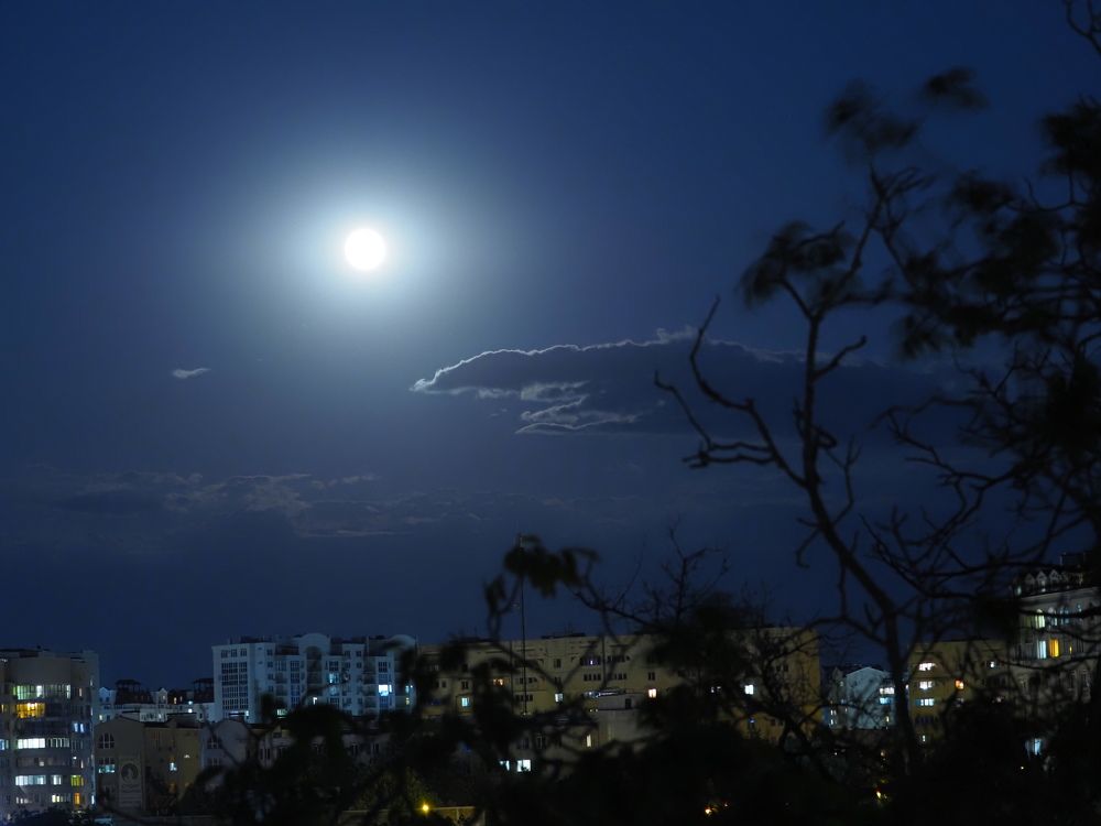 Photograph by Сергей Борисов