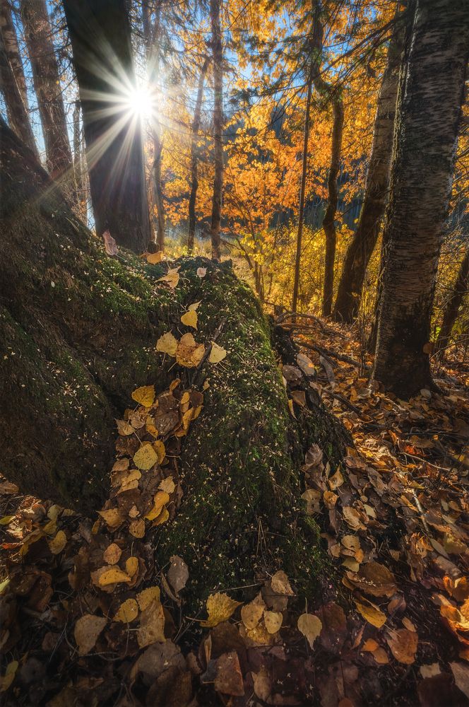 Photograph by Чаланов Иван