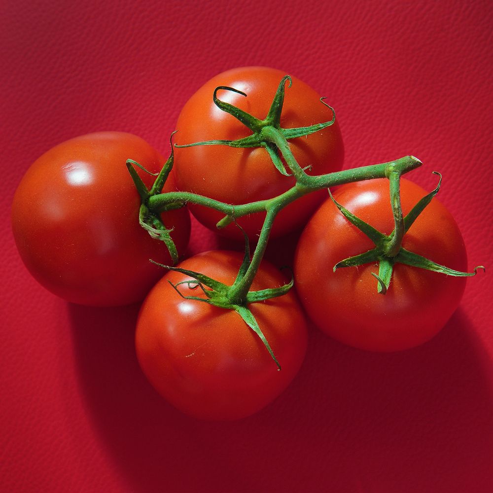 Photograph by Александр Тепляков