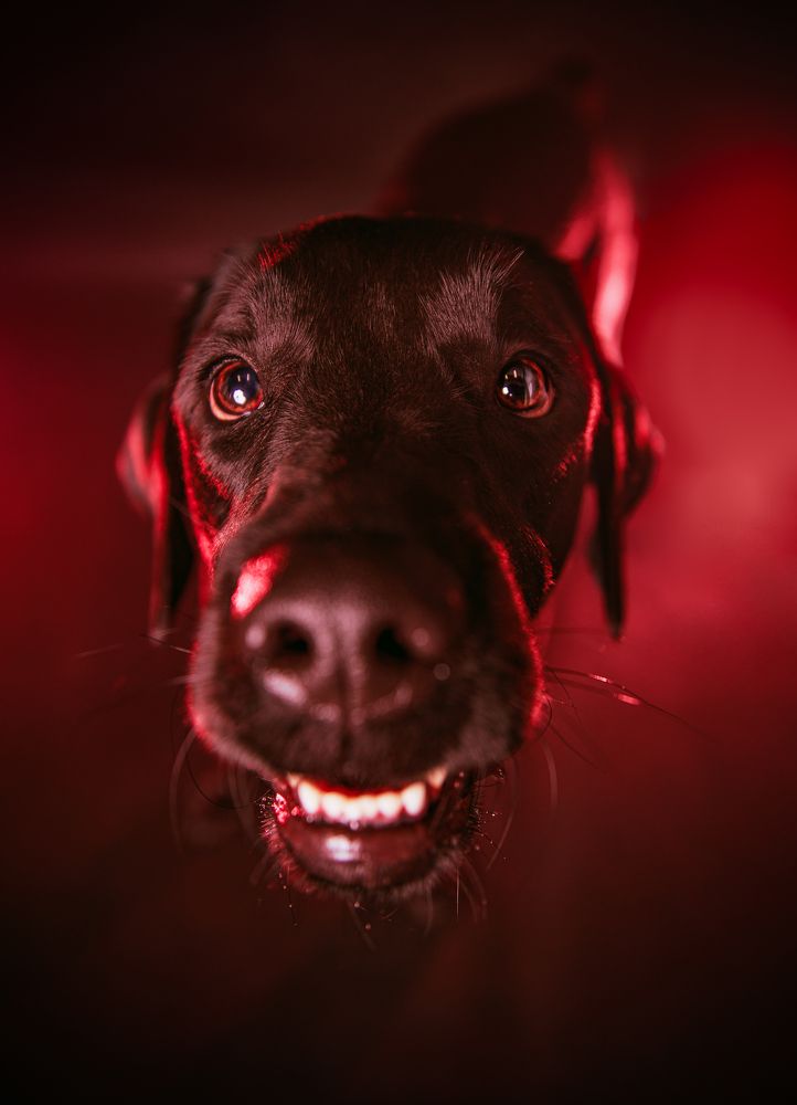 Photograph by Michał Maciak