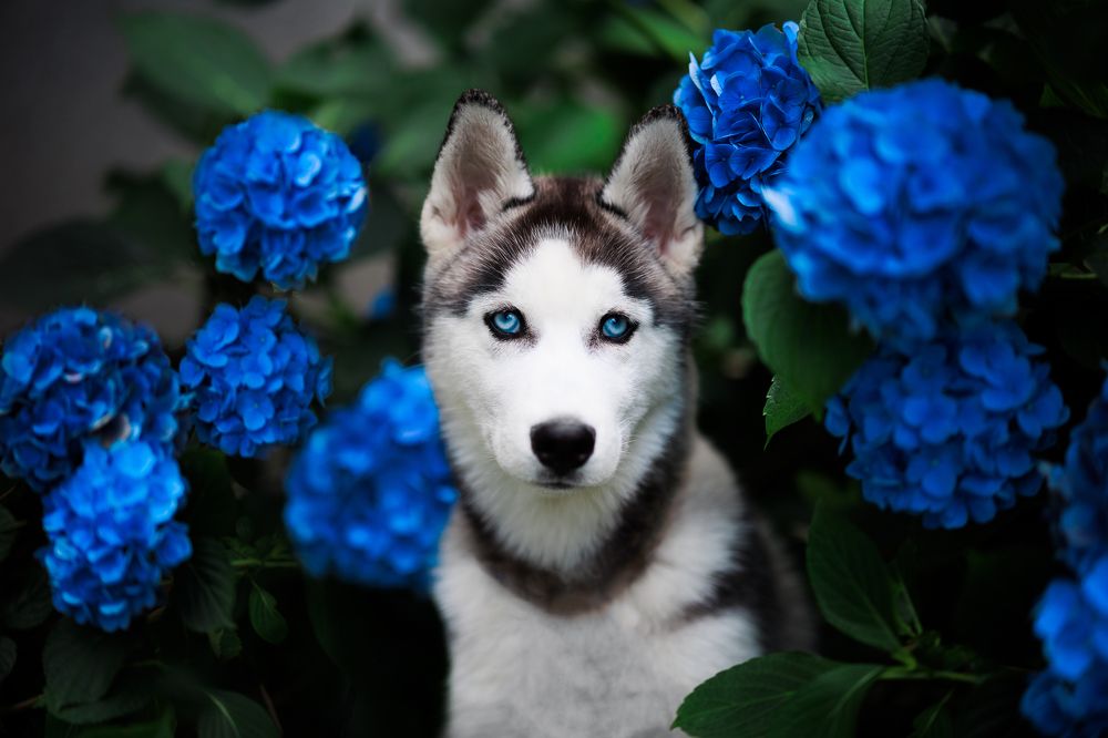 Photograph by Michał Maciak