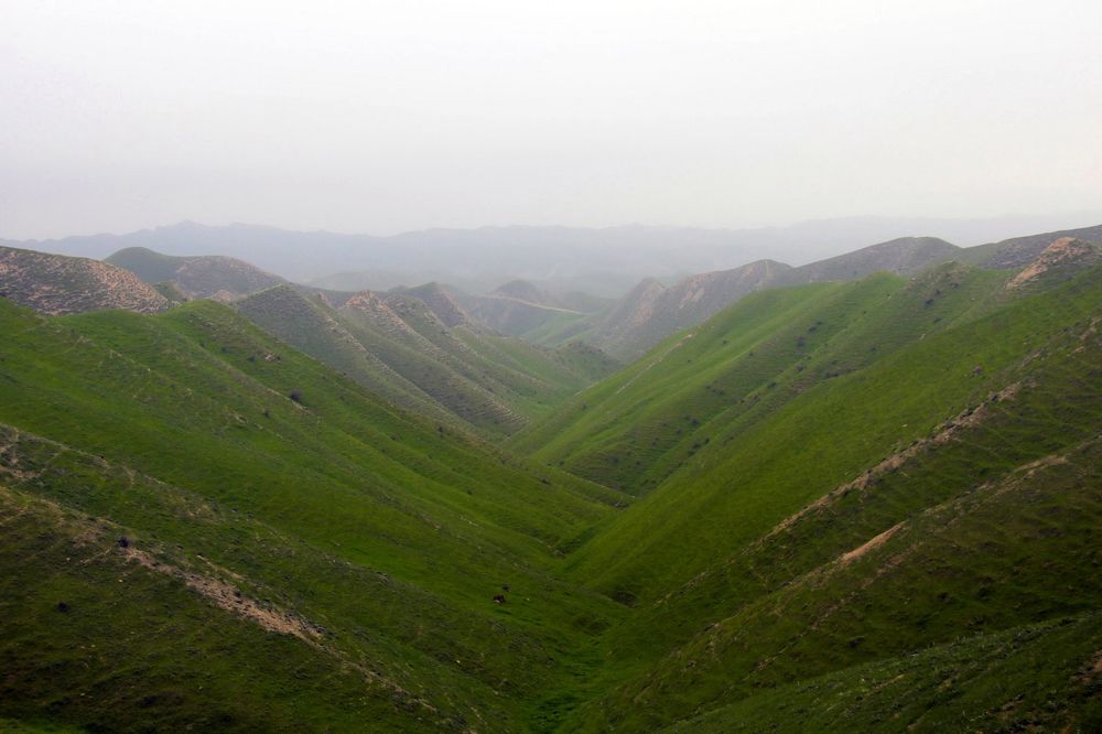 Photograph by Javad Tafti Farashah