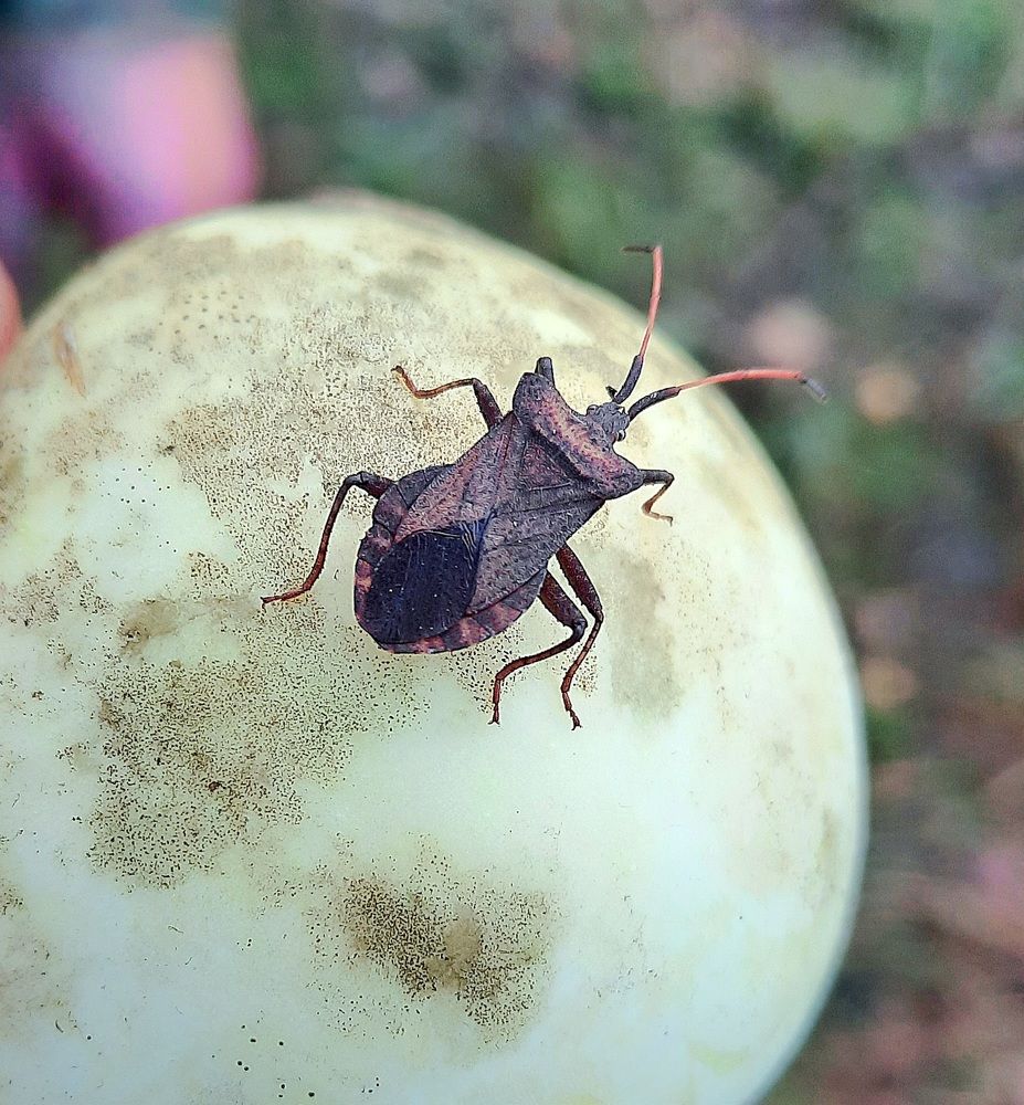 Photograph by Елена Симонова