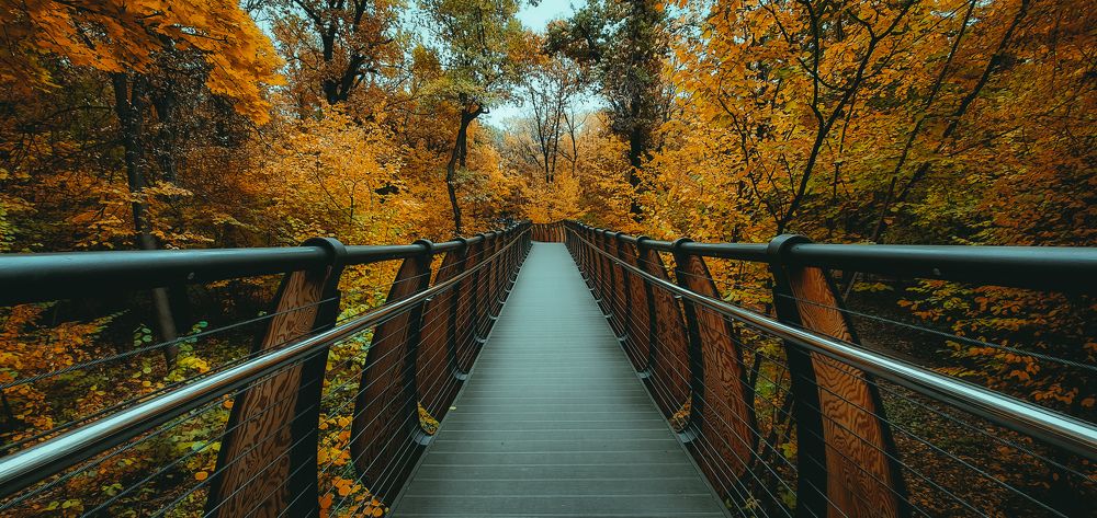 Photograph by Павел Быков