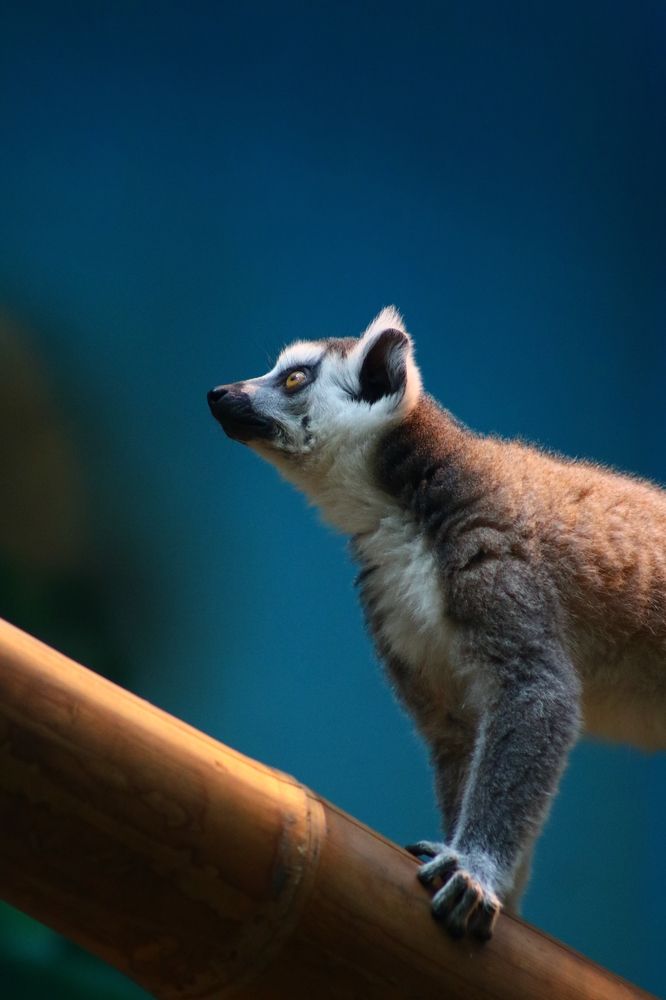 Photograph by Светлана Шуткова