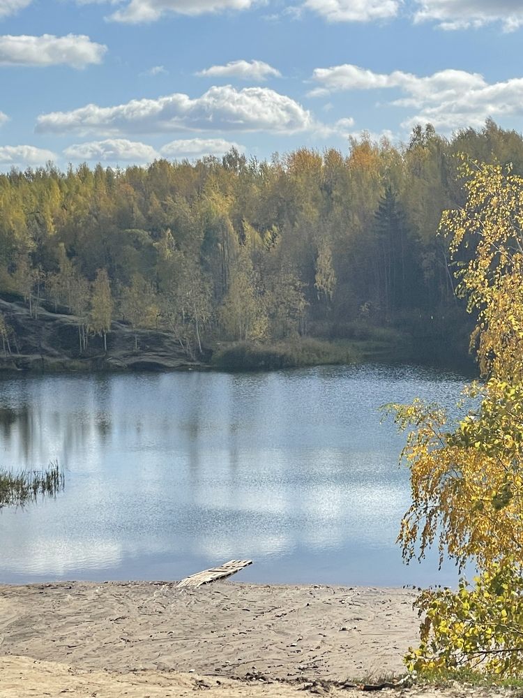 Фотография автора Светлана