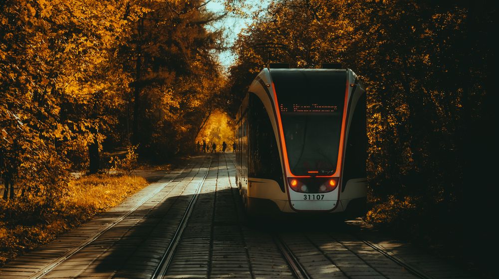 Photograph by Павел Быков