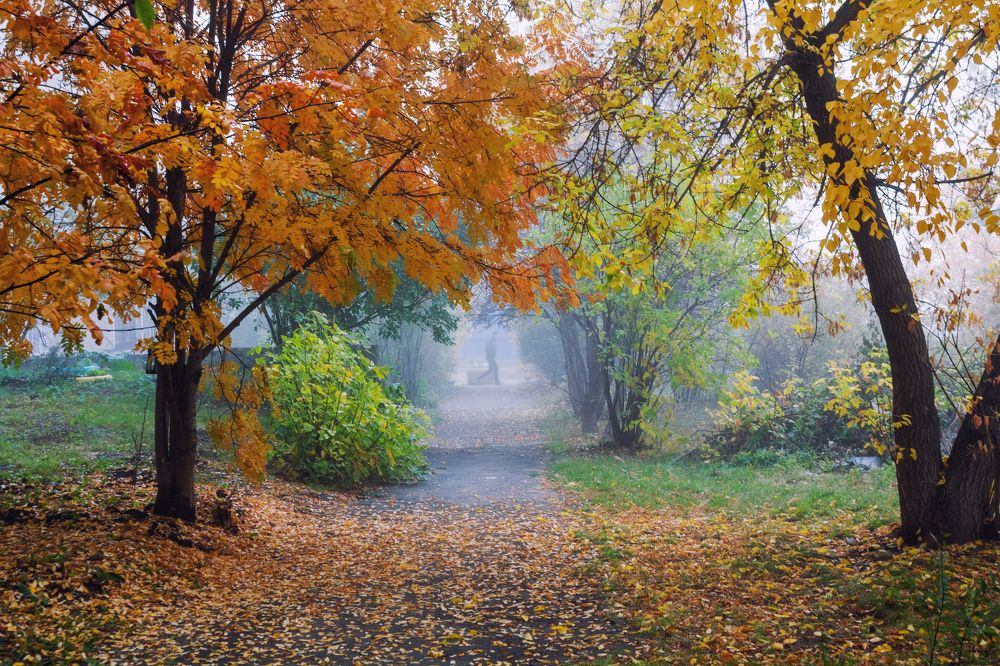 Photograph by Алексеев Саша