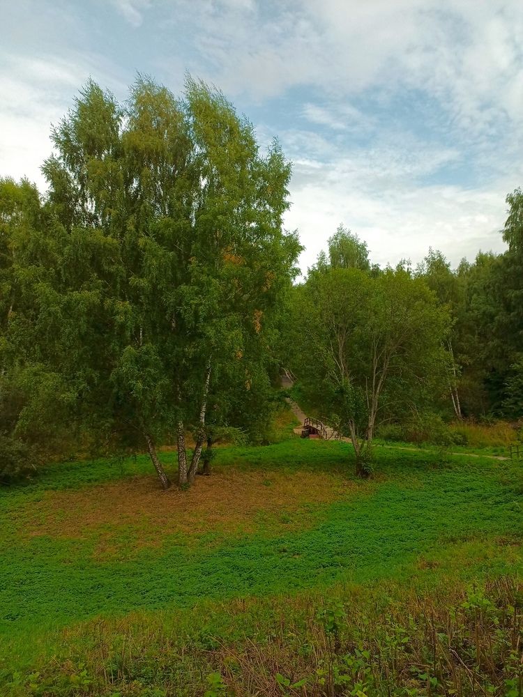Photo #8155744