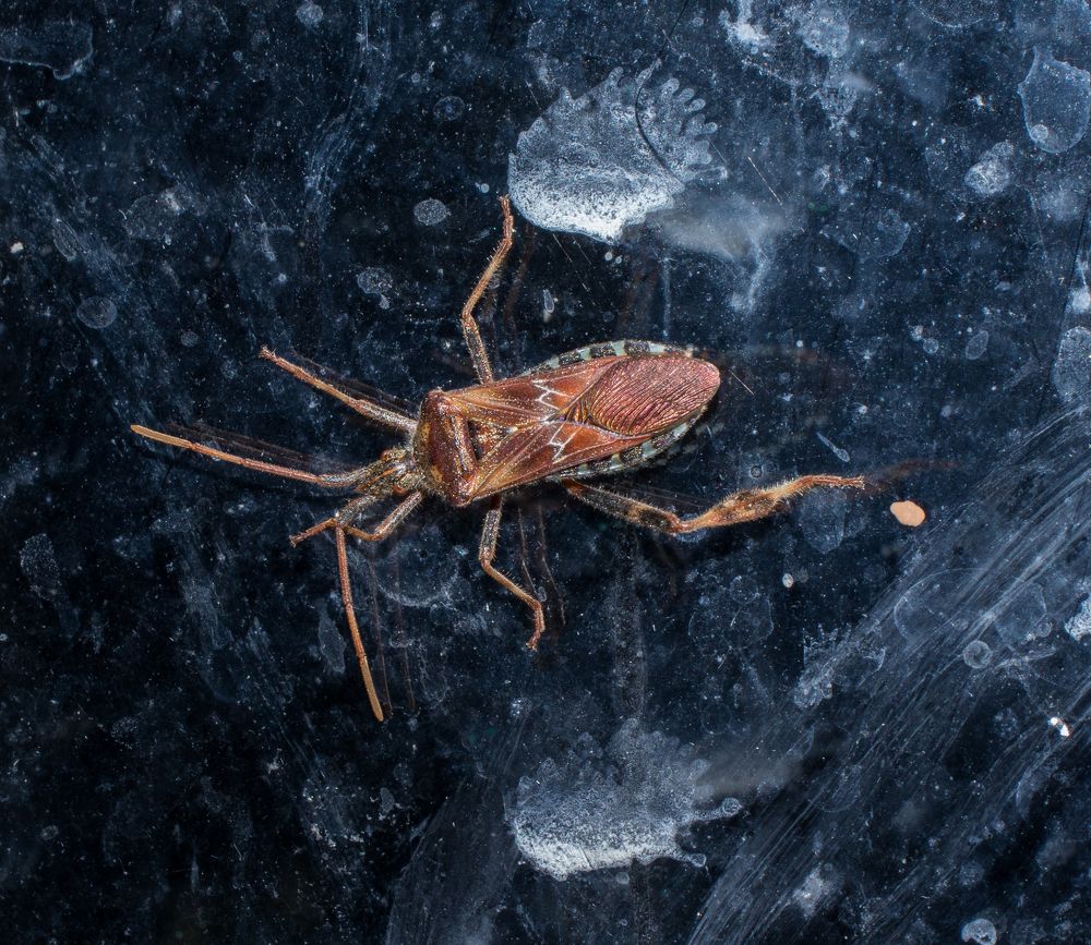 Photograph by Олег Башкуров