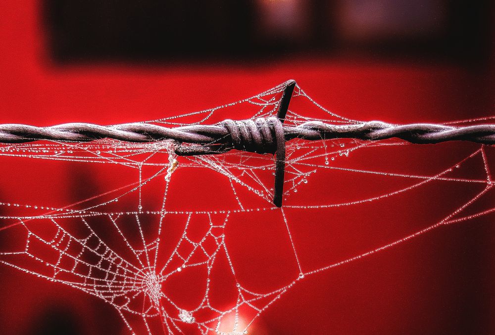 Photograph by Viviana García