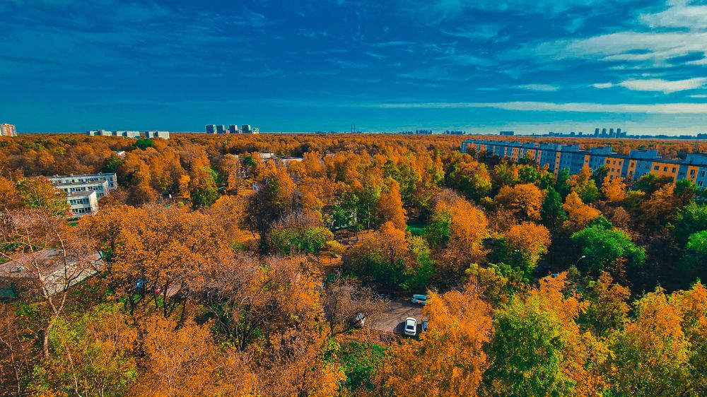 Фотография автора Всеволод Юрша