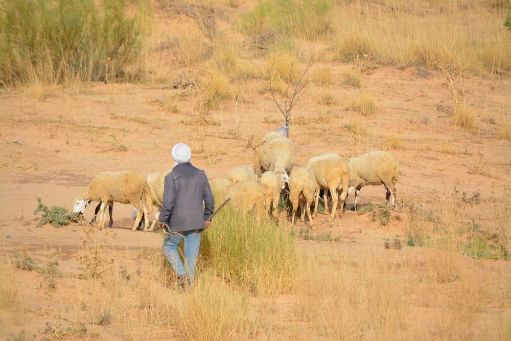 Photograph by Bachir Rabouh