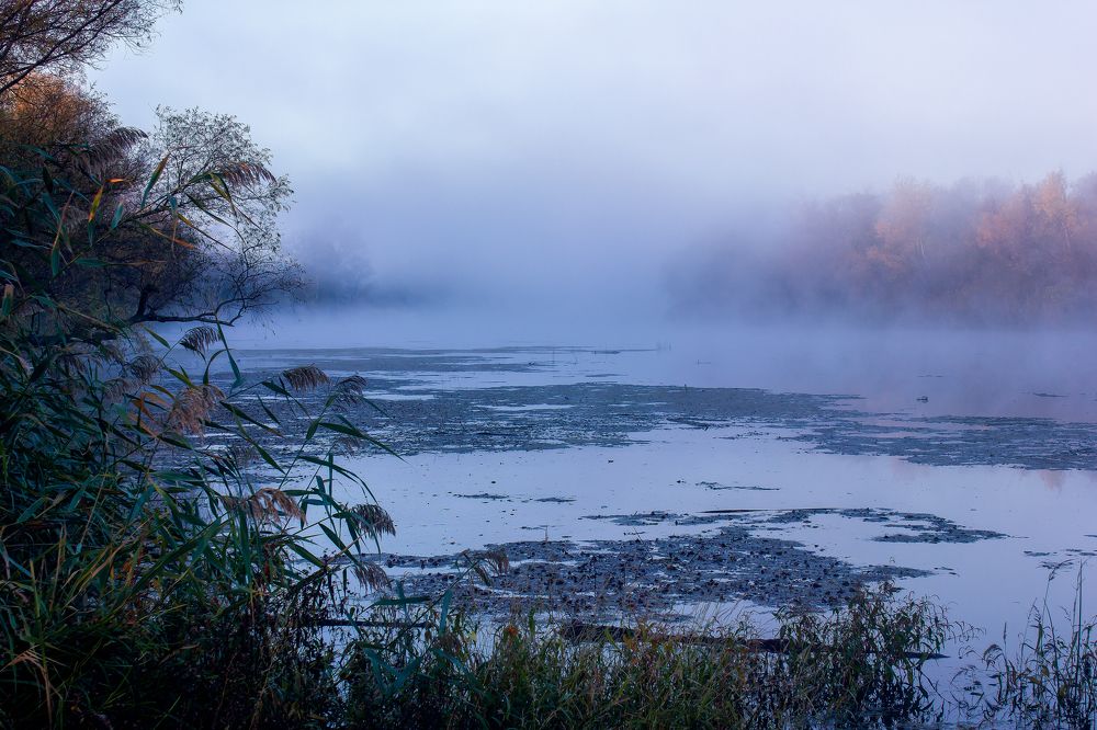 Photograph by Алексей Тимофеев