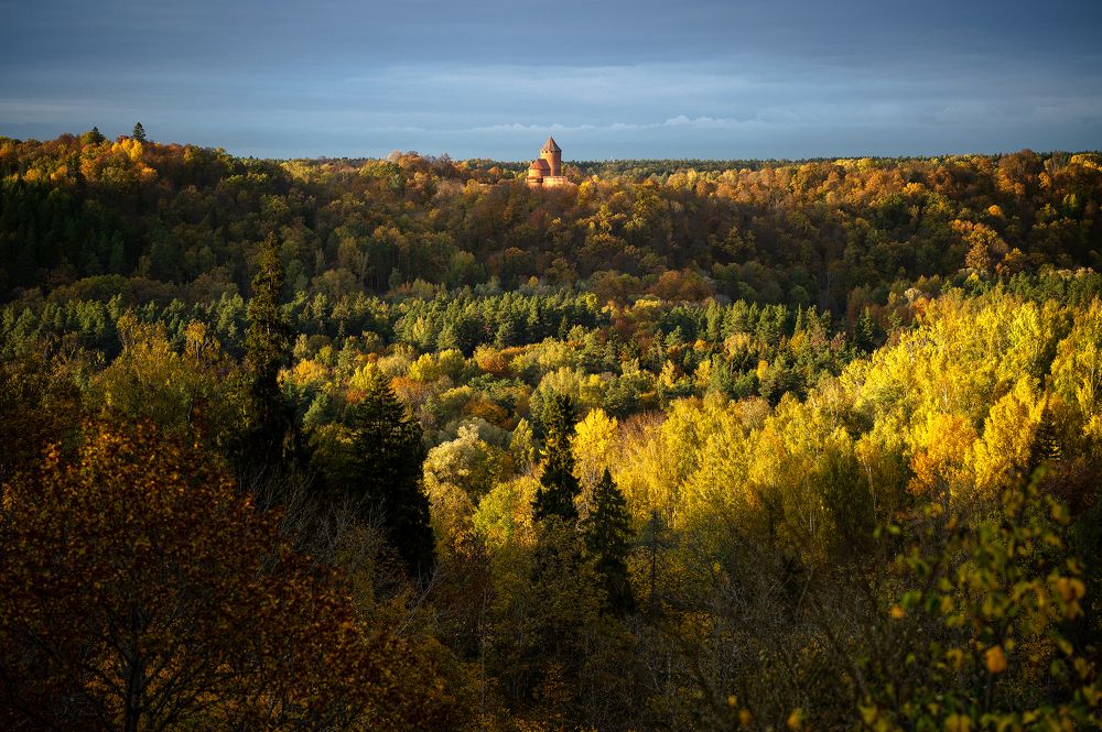 Photograph by Эдгар Герейш