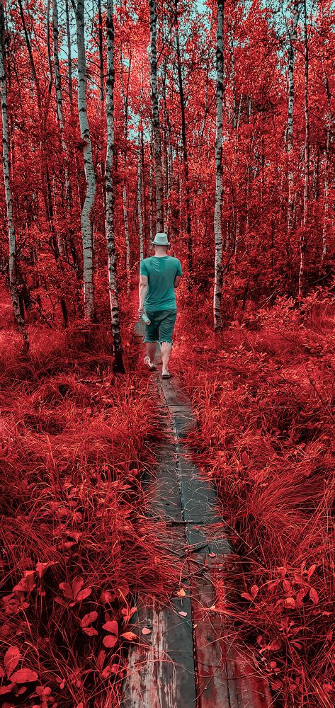 Фотография автора Павел Быков