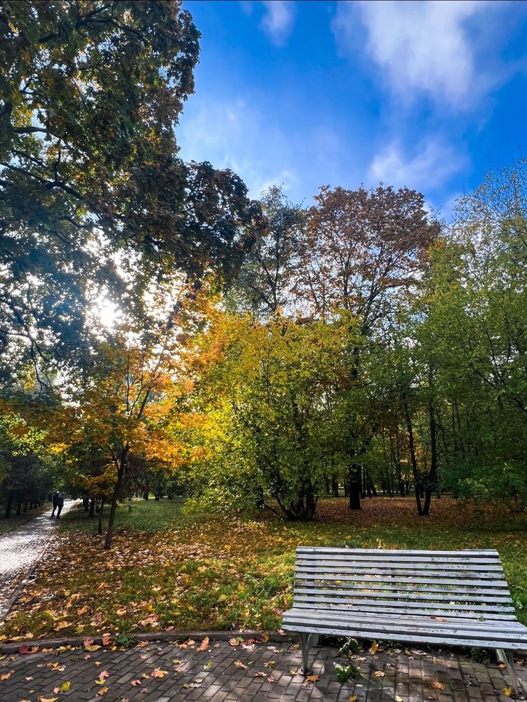 Photograph by Ольга Панфилова