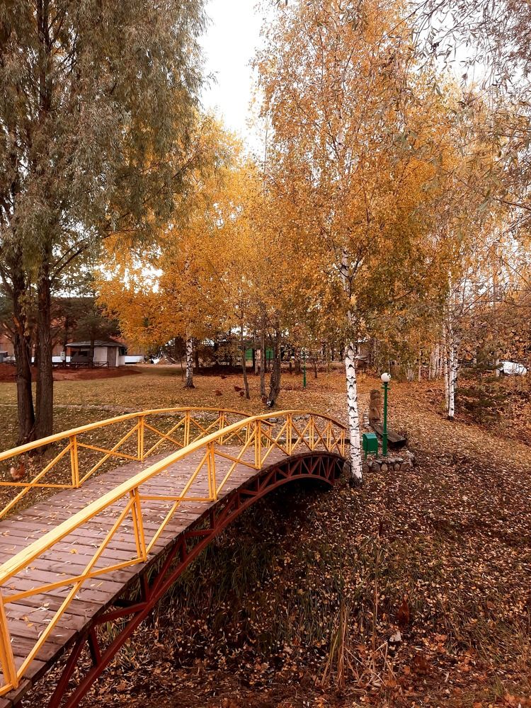 Photograph by Ольга