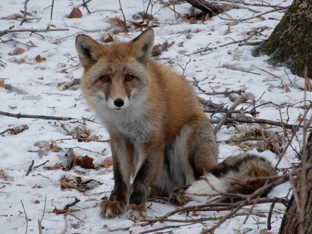 Photograph by Александр Зуев