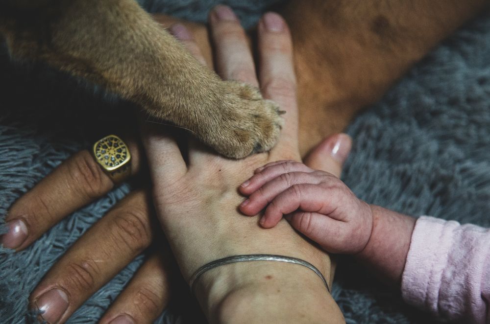 Photograph by Юлия Михайлова