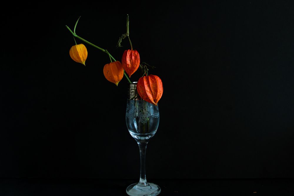 Photograph by Романова Мария