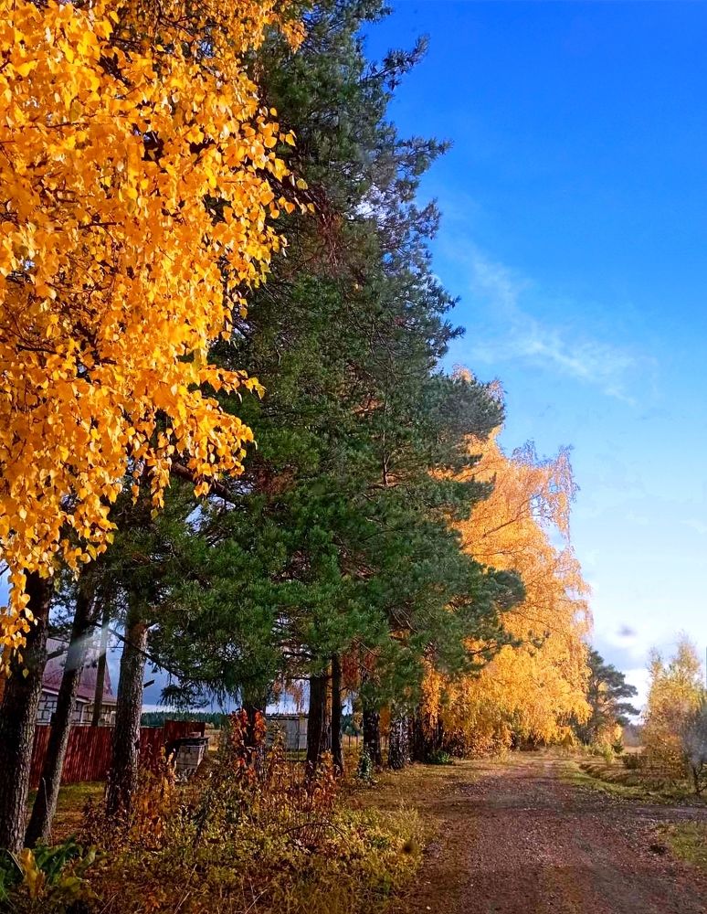 Photograph by Надежда