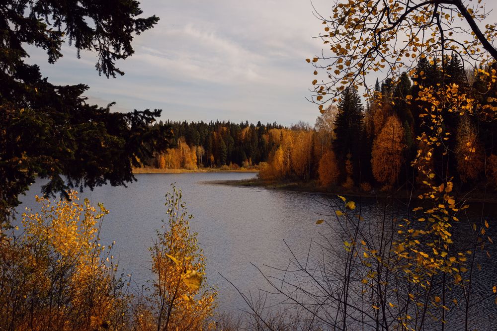 Photograph by Светлана