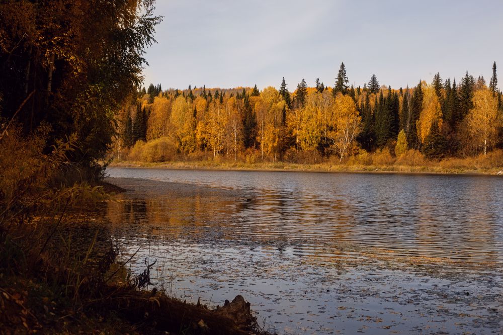 Photograph by Светлана