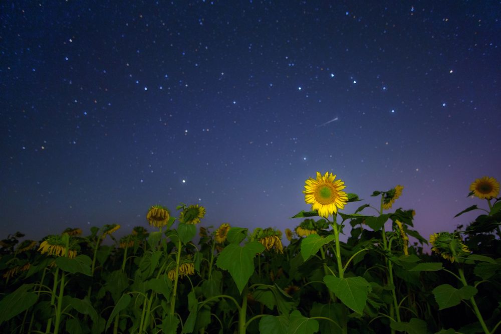 Фотография автора Андрей Врубель