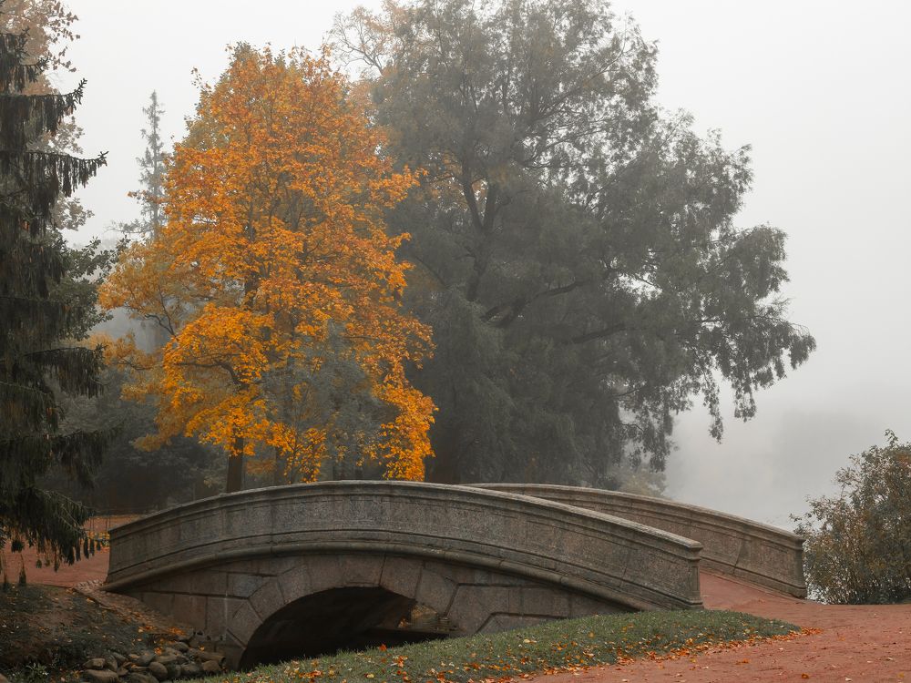 Фотография автора Evgeny