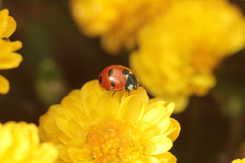 Photograph by Ксения Сёмина