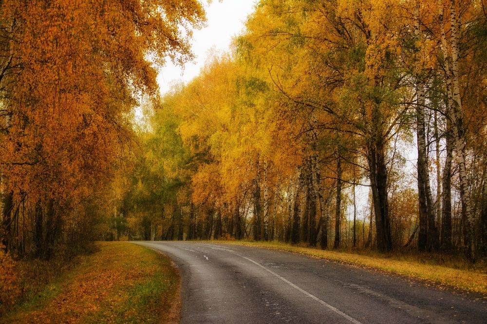 Photograph by Сергей Симаков