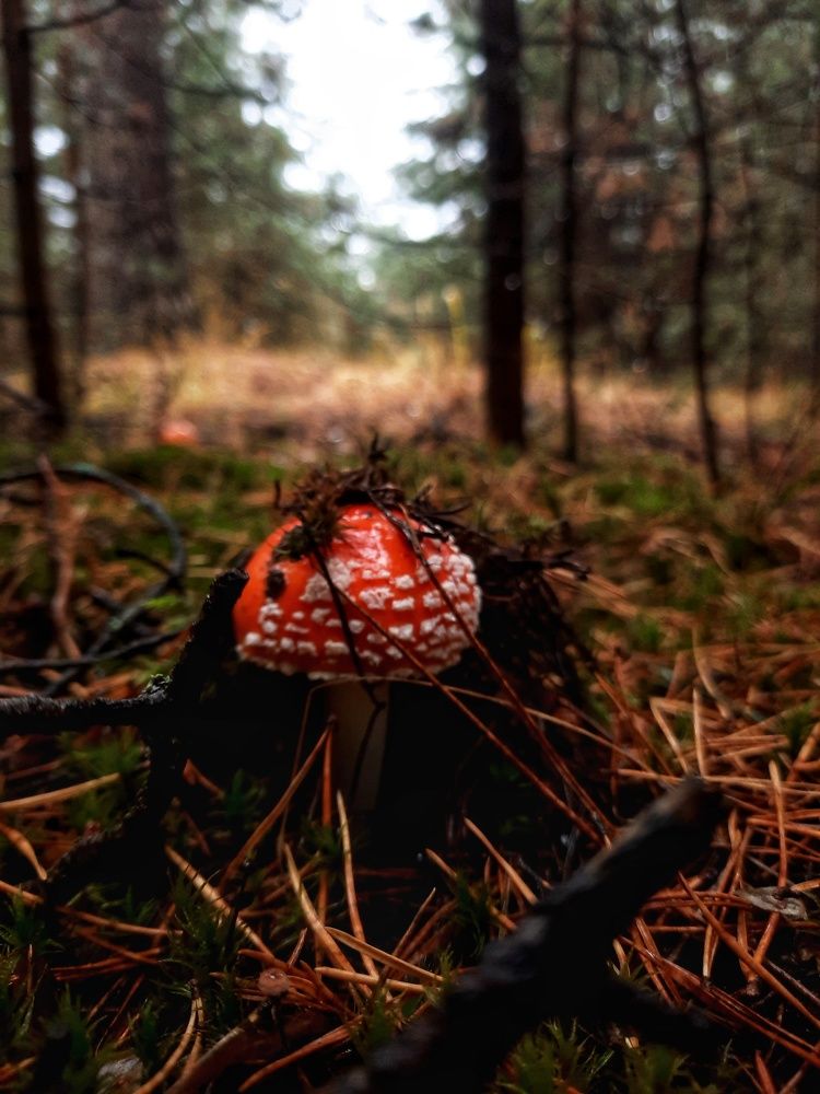 Photograph by Ольга