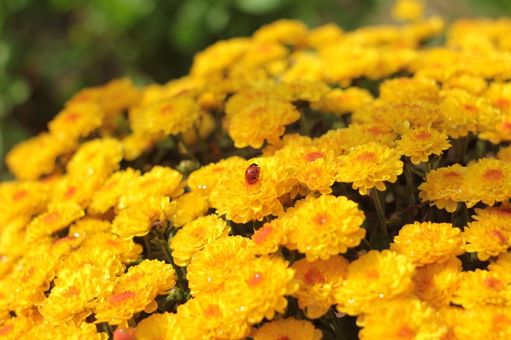 Photograph by Ксения Сёмина