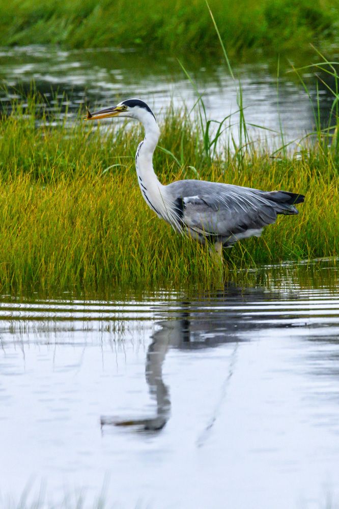 Photograph by Андрей Захаров