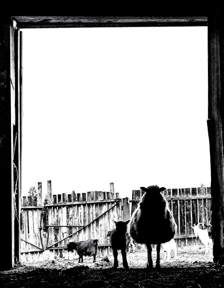 Потусторонние.