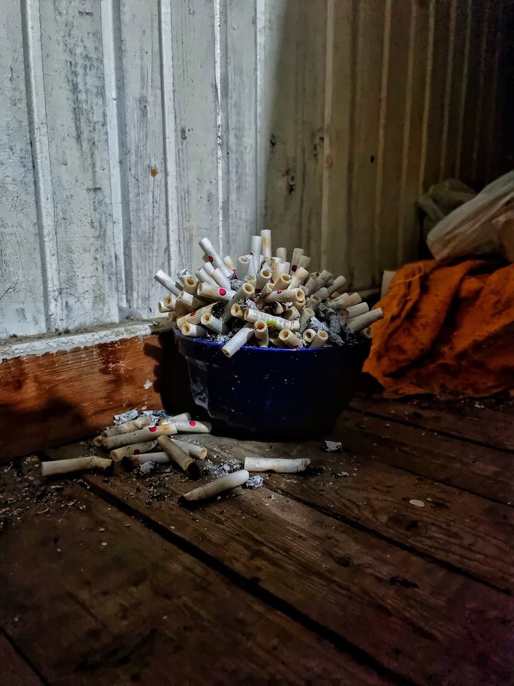 Photograph by Вячеслав Ригачин