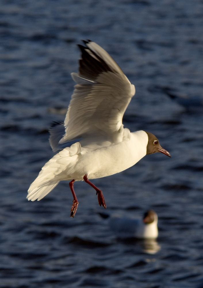 Photograph by Евгений Смирнов