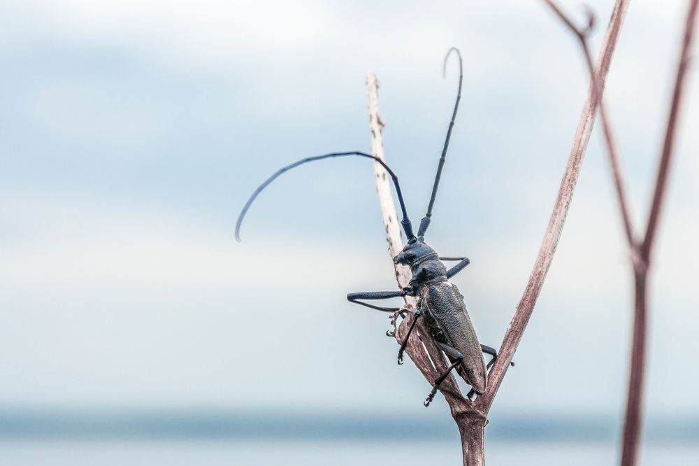 Photograph by Чаланов Иван