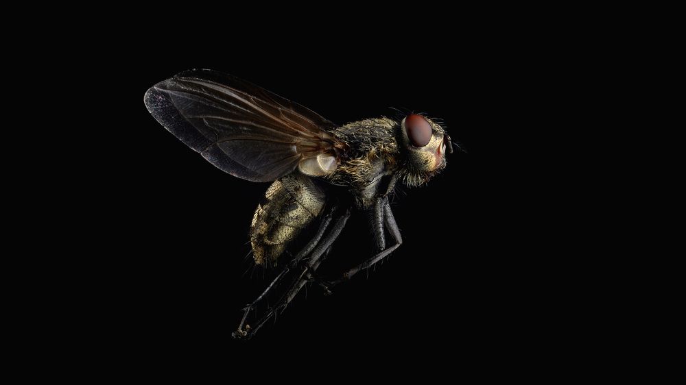 Photograph by Чаланов Иван