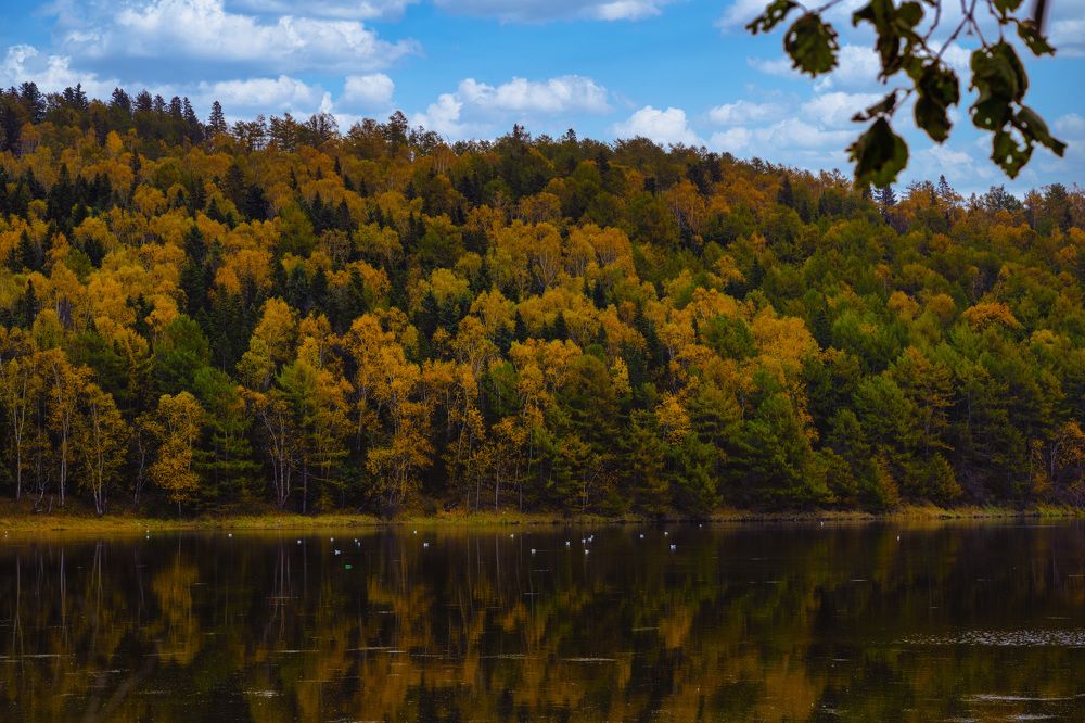 Photograph by Андрей Захаров