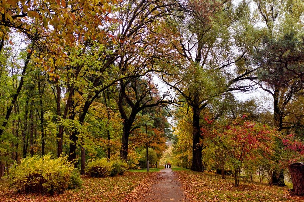 Photograph by Дзен Сергей