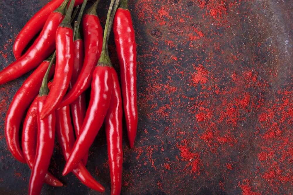 Photograph by Галина Щипакина