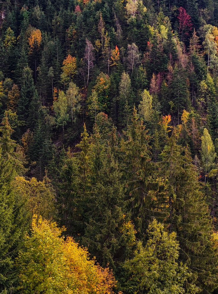 Photograph by Diana-Alexandra Amărinei