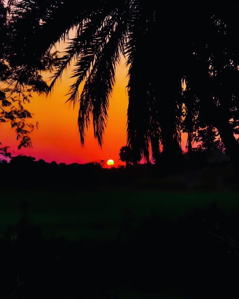 Photograph by Rasmi Ranjan Patra