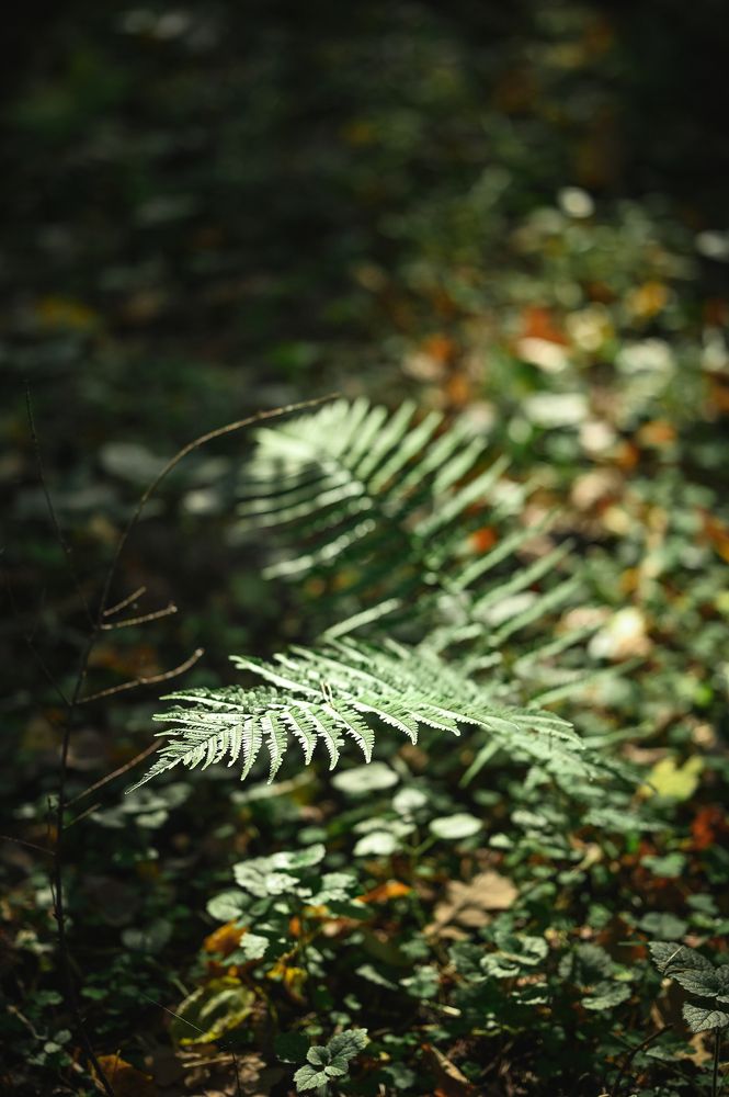 Photograph by Наталья Гришаева