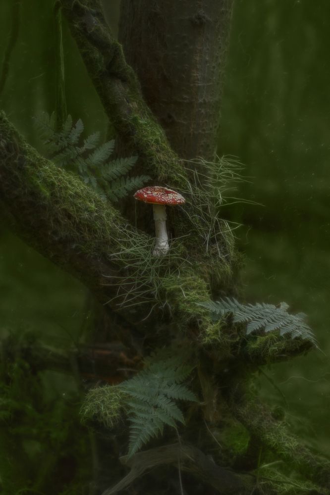 Photograph by Svoboda Andreeva