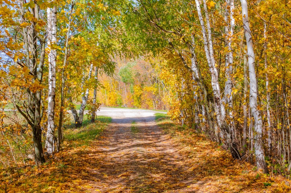 Photograph by Дмитрий Граждан