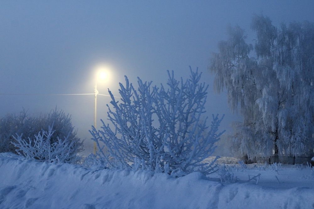 Photograph by Инна Карасева